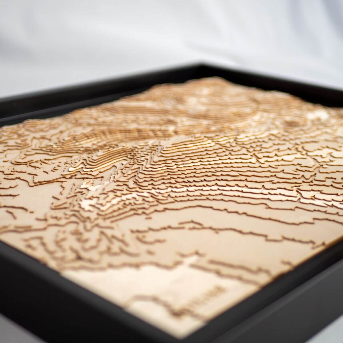 Détails du relief de la carte du mont Ventoux en bois