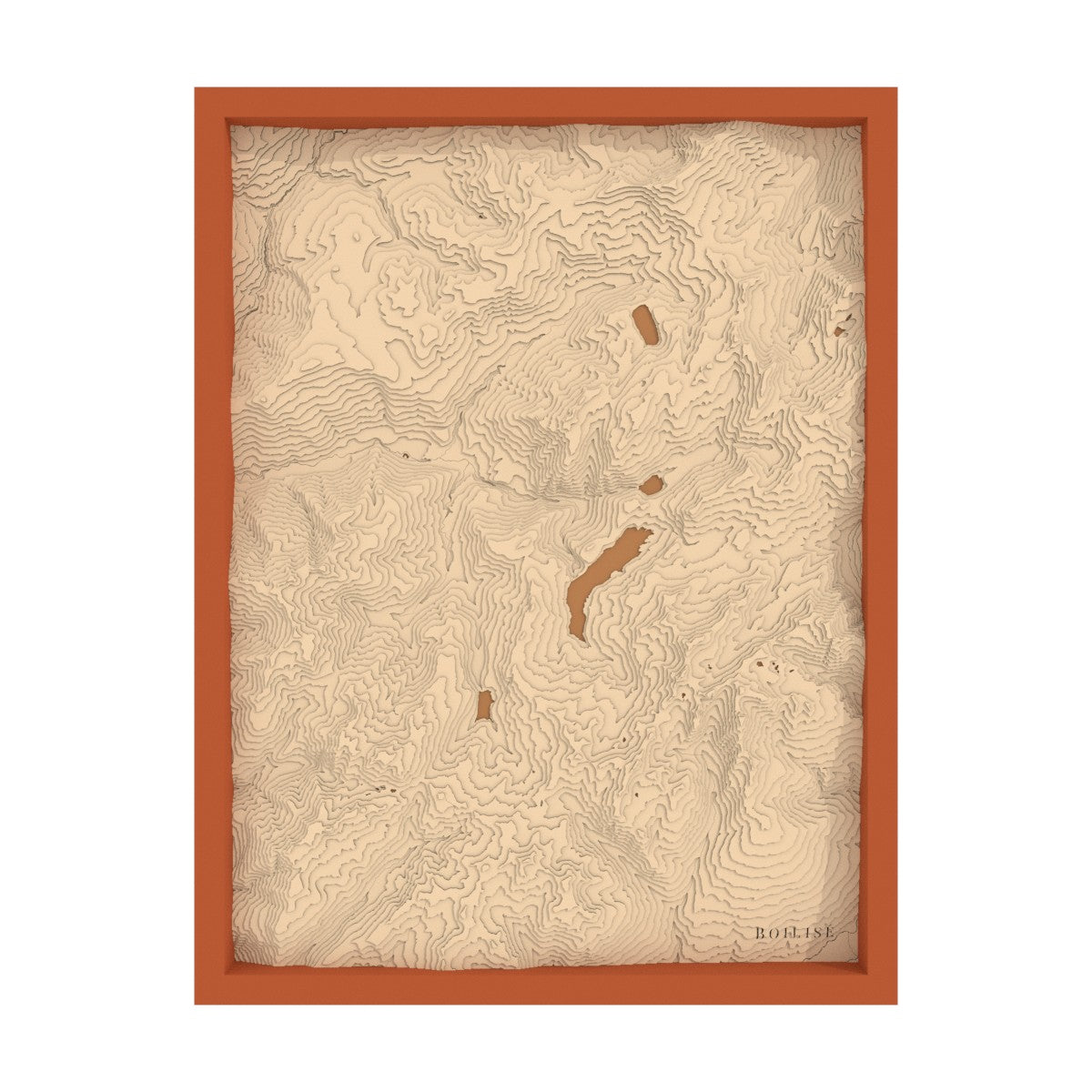 Le tableau qui fait parler dans votre déco : La vallée du Beaufortain en relief