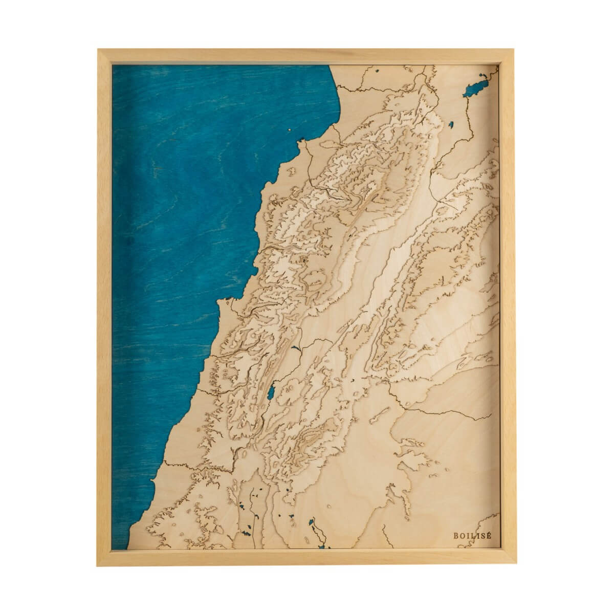 Carte topographique du Liban